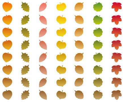 Leaves that change from autumn colors into withered brown color while falling off. Isolated vector illustration on white background.
