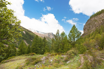 Obraz premium Panoramic view of the mountains of the Gran Paradiso Park, Italy