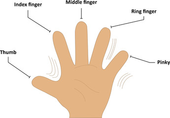 Finger Names