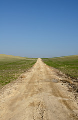 Camino en zona de campo con tierras de cultivo