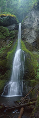 Fototapeta na wymiar Waterfall in Olympic National Rainforest