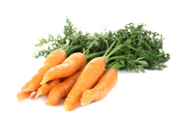 carrot on a white background