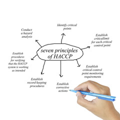 Obraz premium Woman hand writing element of 7 wastes principle on white backg