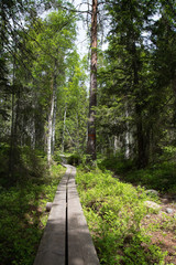 Nationalpark Skuleskogen, Höga Kusten, Schweden