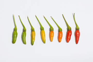 Thai Chili