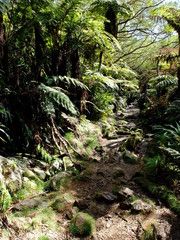 De Hell-Bourg au Trou de Fer en passant par Bellouve