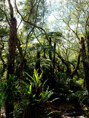 De Hell-Bourg au Trou de Fer en passant par Bellouve