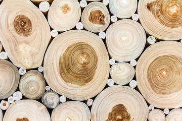 Obraz premium wood texture. Abstract background, empty template