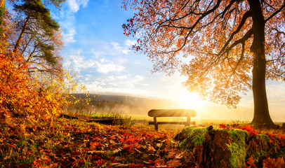 Zauberhafte Herbstszene - obrazy, fototapety, plakaty