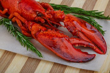 Lobster