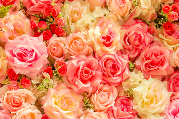 Soft color Roses Background