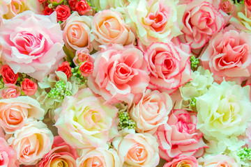 Soft color Roses Background