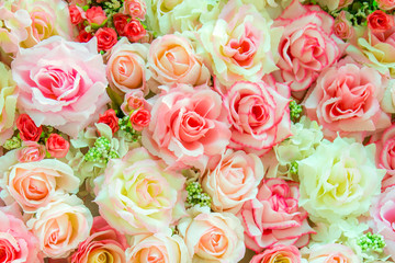 Soft color Roses Background
