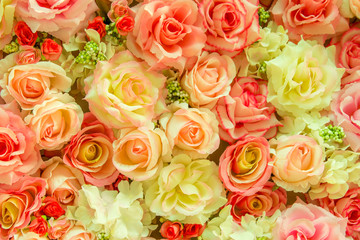 Soft color Roses Background