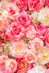 Soft color Roses Background