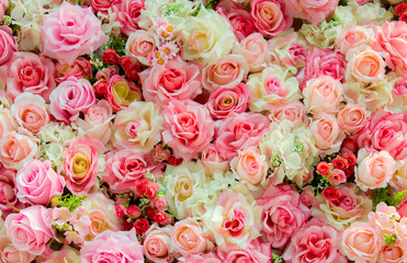 Soft color Roses Background