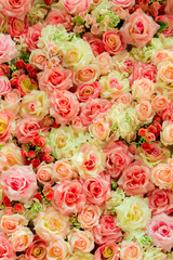 Soft color Roses Background