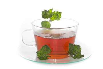 Cup of tea with lemon and mint isolated 