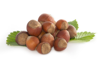 hazelnuts isolated 