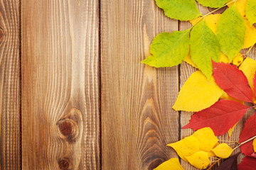 Naklejka na ściany i meble Autumn leaves over wood background