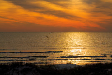 Sunny Morning Surf
