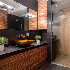 Bathroom with fancy shower
