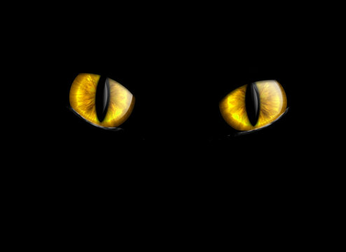 cat's eyes