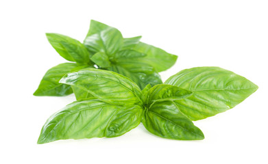 Sprig of basil