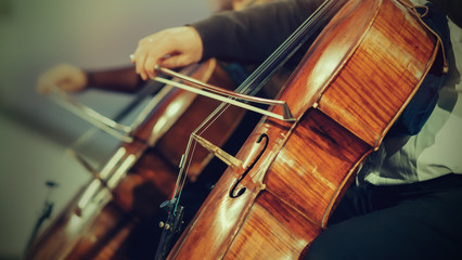 Fototapeta premium Orkiestra Symfoniczna na scenie, ręce gra na wiolonczeli