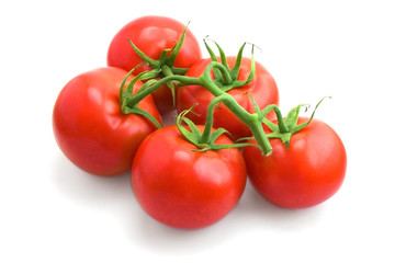 ripe tomatoes isolated on white background