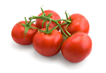 ripe tomatoes isolated on white background