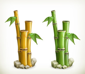 Obraz premium Bamboo, vector icon
