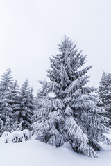 Scenery in the mountains, in winter