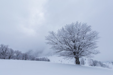 Scenery in the mountains, in winter