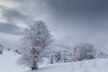 Scenery in the mountains, in winter