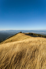 The summit of Mount Pratomagno in Tuscany (Italy). A particular mountain whose peak is constituted by a large lawn area with little vegetation.