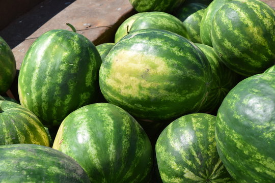 Water-melons on a counter