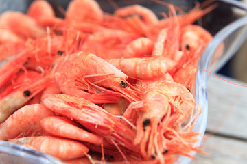 Shrimps