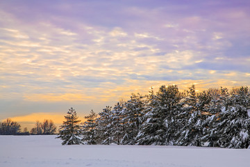 Winter Sundown