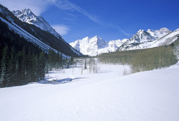 Fototapeta na wymiar Winter in Aspen, Colorado