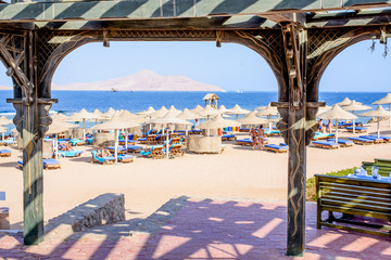 Thatched beach umbrellas and recliner chairs