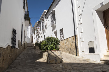 Typical white Andalusian village street in Benaocaz, Cadiz provi © max8xam