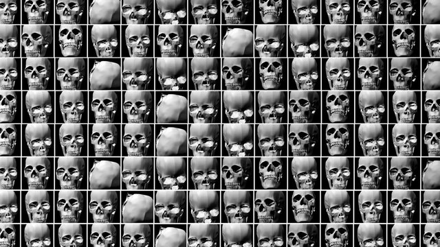 Seamless animation of skeletons. Render of a skull 3D model  by Momentum released by Blendswap distributed under CC-BY