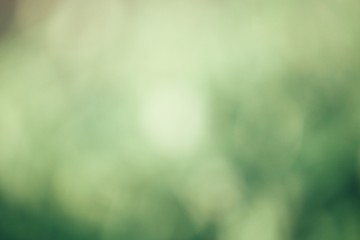 Vintage green bokeh