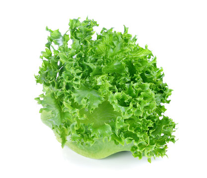 Green lettuce isolated on the white background.