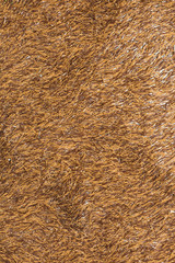 色変わりの人工芝