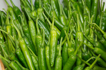 甘長とうがらし