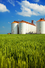 Agricultural silos under blue sky, in the fields