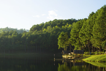 Morning sunrise at Pang-ung, Pine forest in Mae Hong Son,Thailand