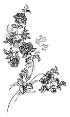 덩굴 사라사 꽃